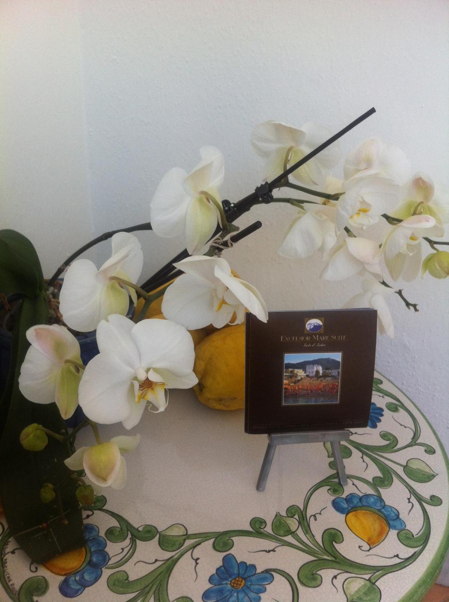Excelsior Mare Suite Casamicciola Terme Exterior foto