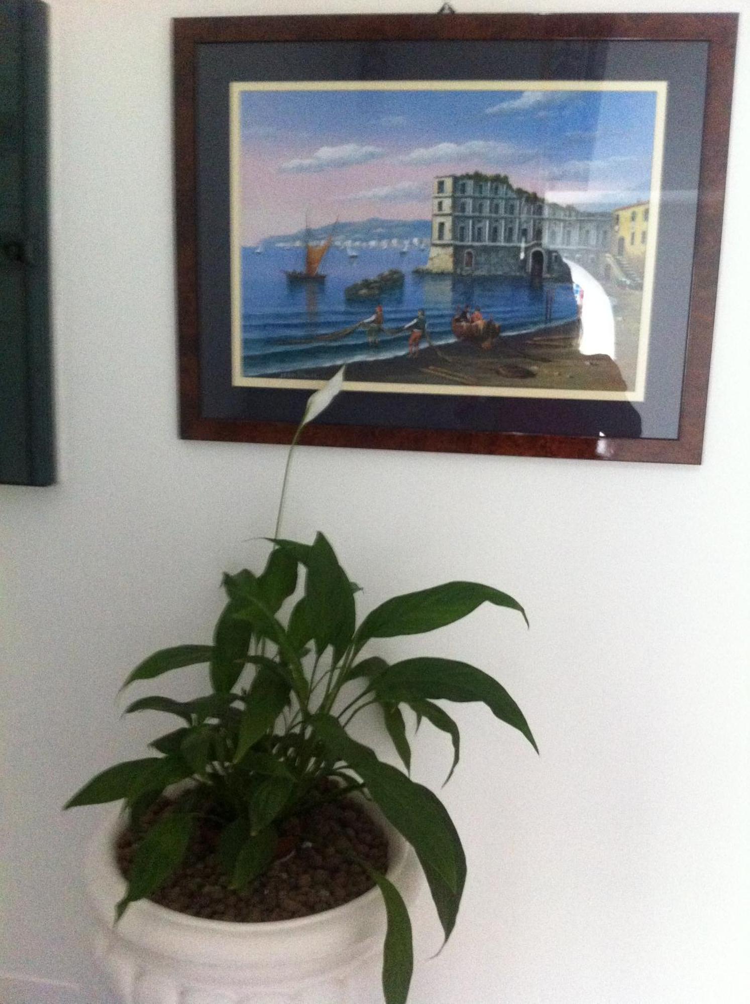 Excelsior Mare Suite Casamicciola Terme Exterior foto
